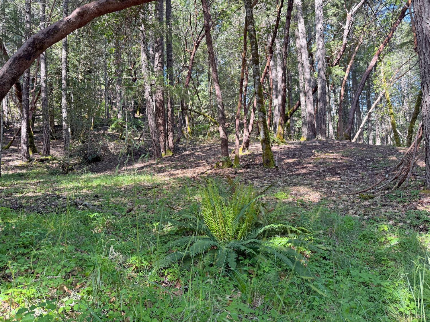 Front Image Thumbnail for BA326035800