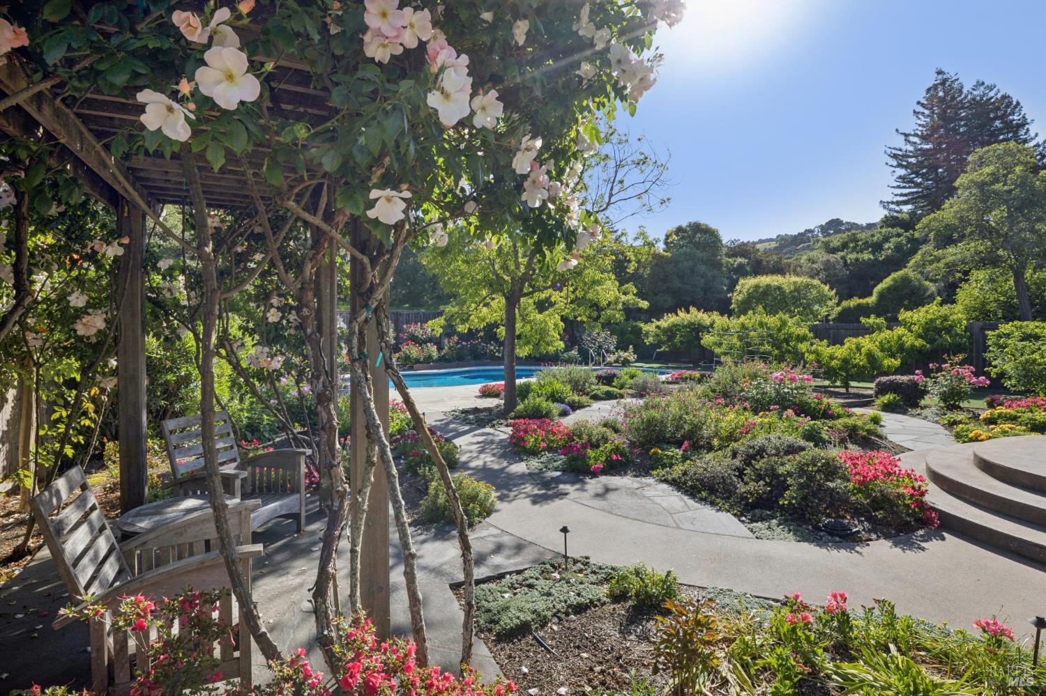 58 Mount Muir Court photo 3