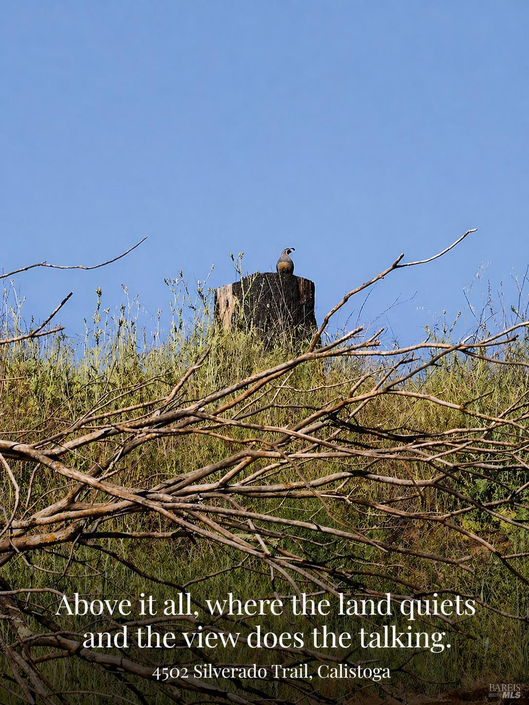 Front Image Thumbnail for BA326035573