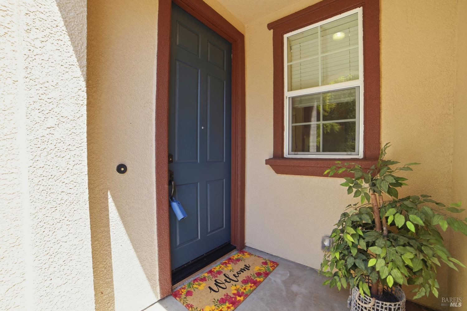 2216 Bell Flower Lane photo 2