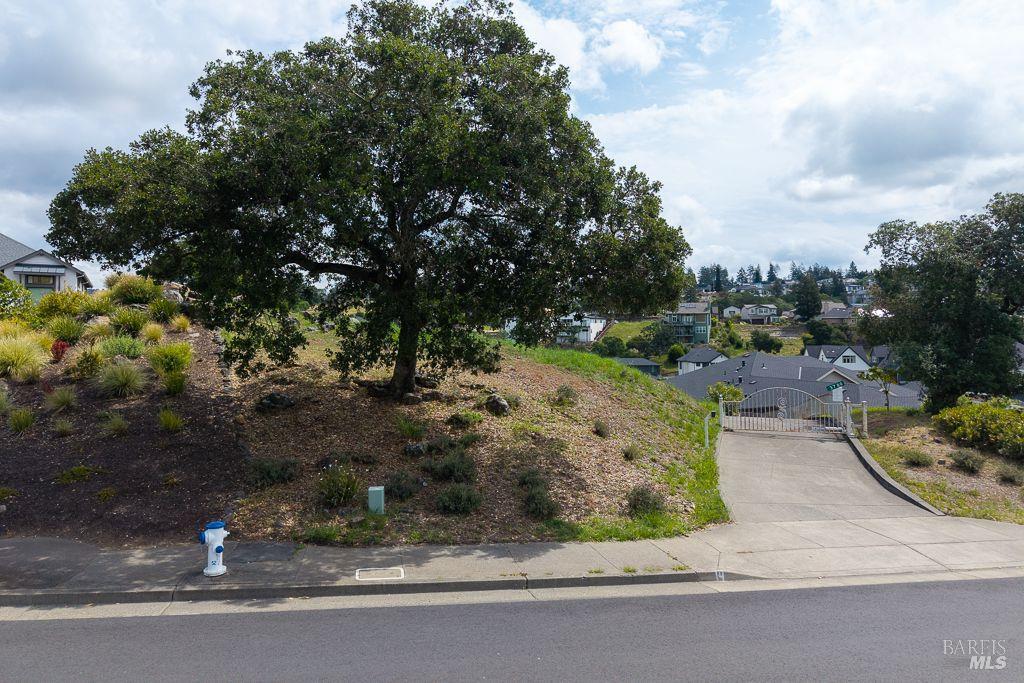 3780 Saint Andrews Drive photo 3