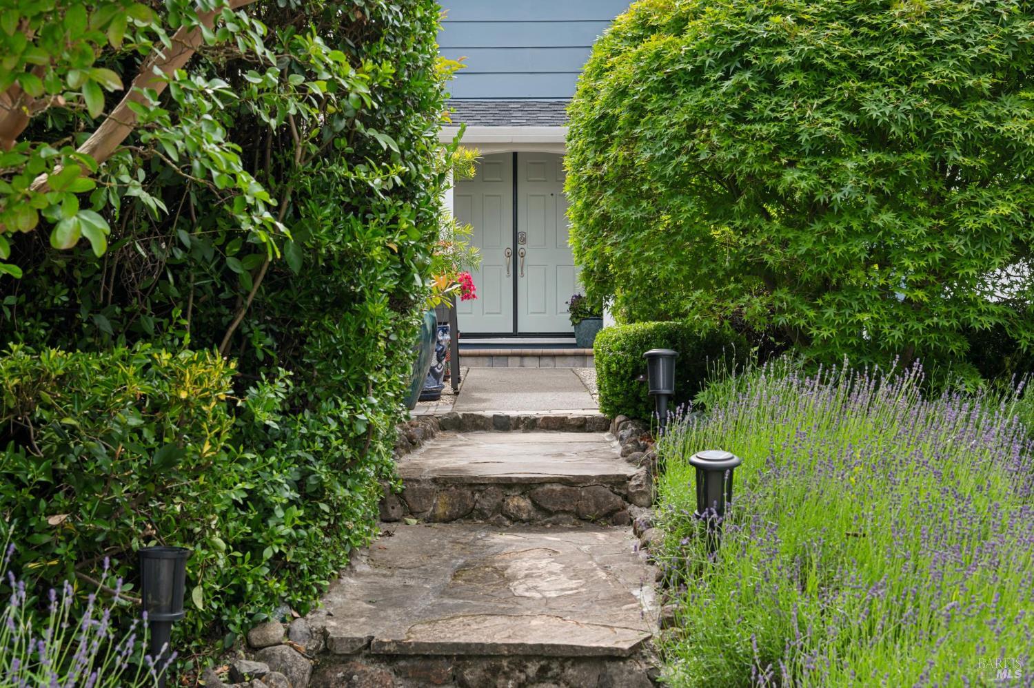 385 San Carlos Way