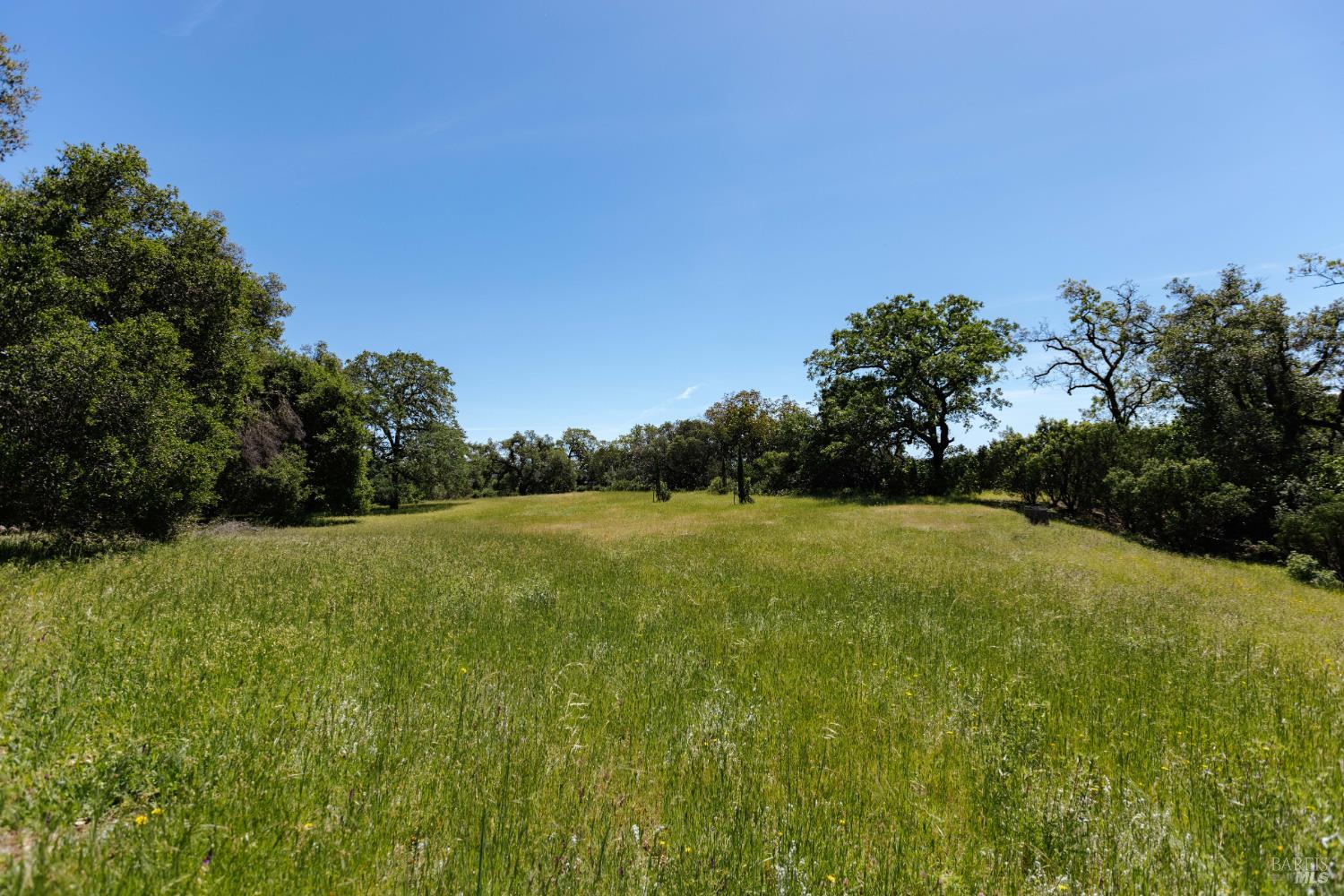 34021 Pine Mountain Road photo 3