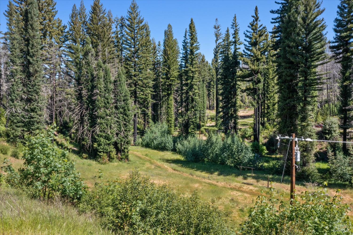9440 Mill Creek Road photo 3