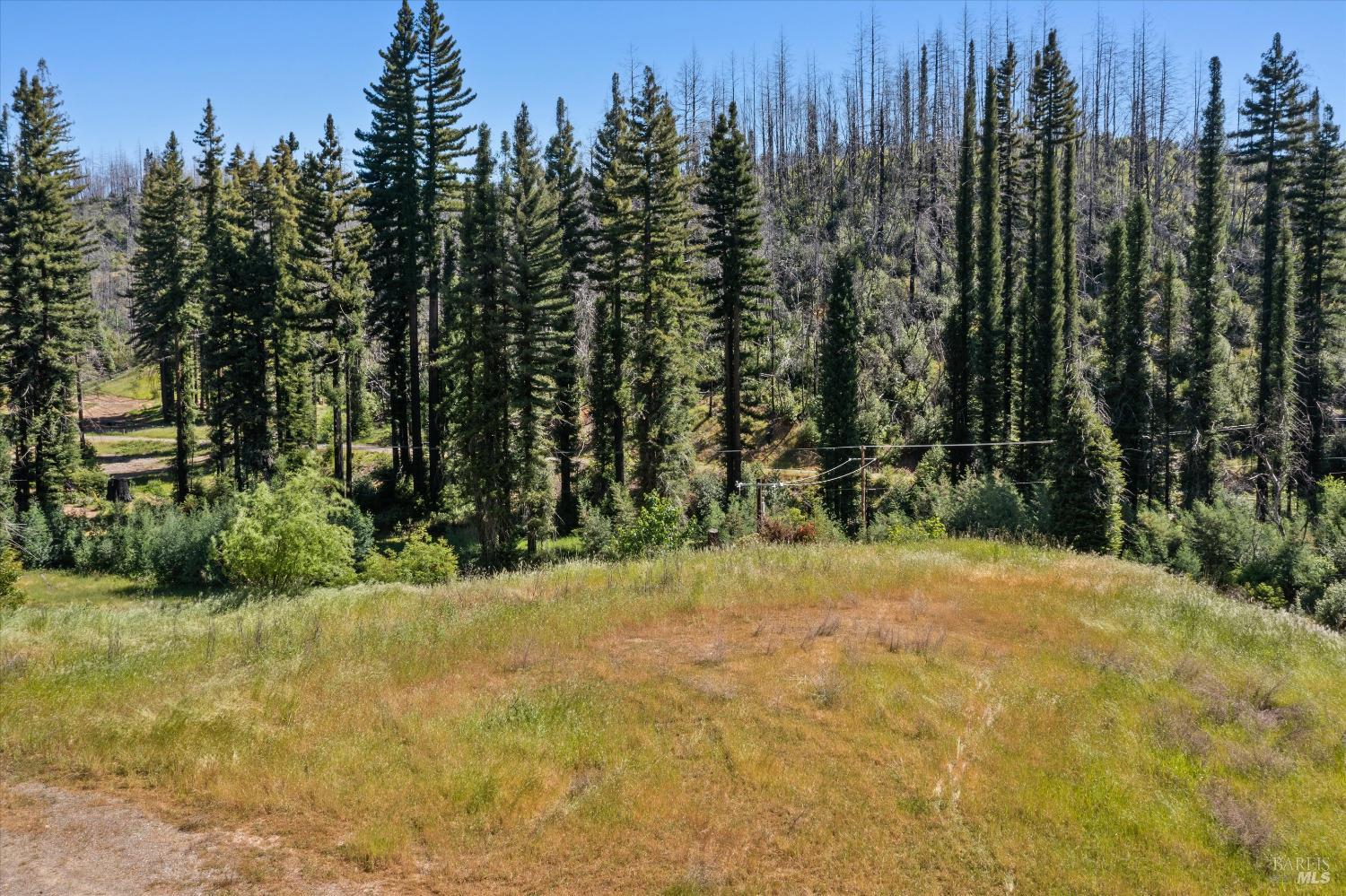 9440 Mill Creek Road