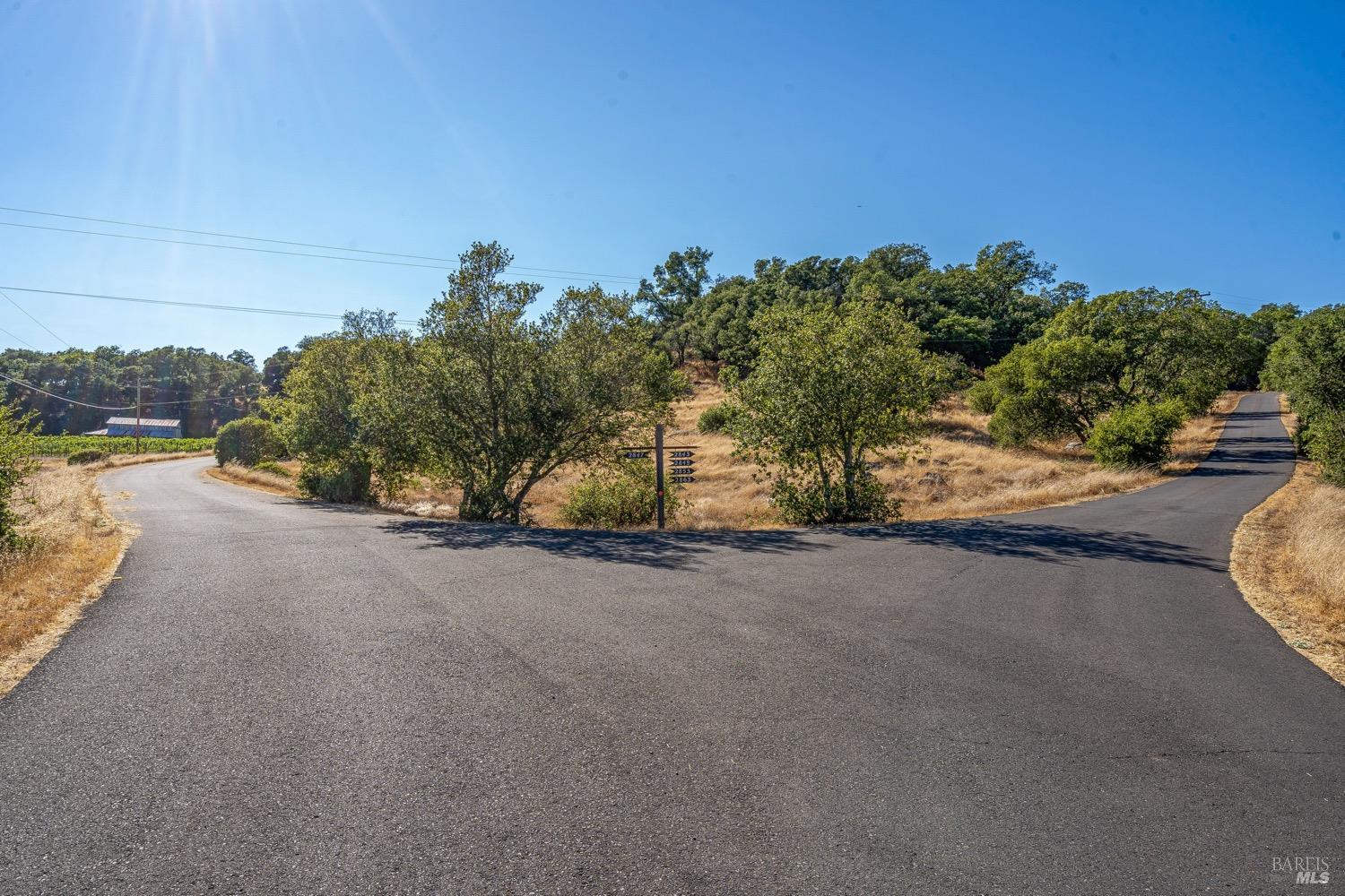 2863 Atlas Peak Road photo 3