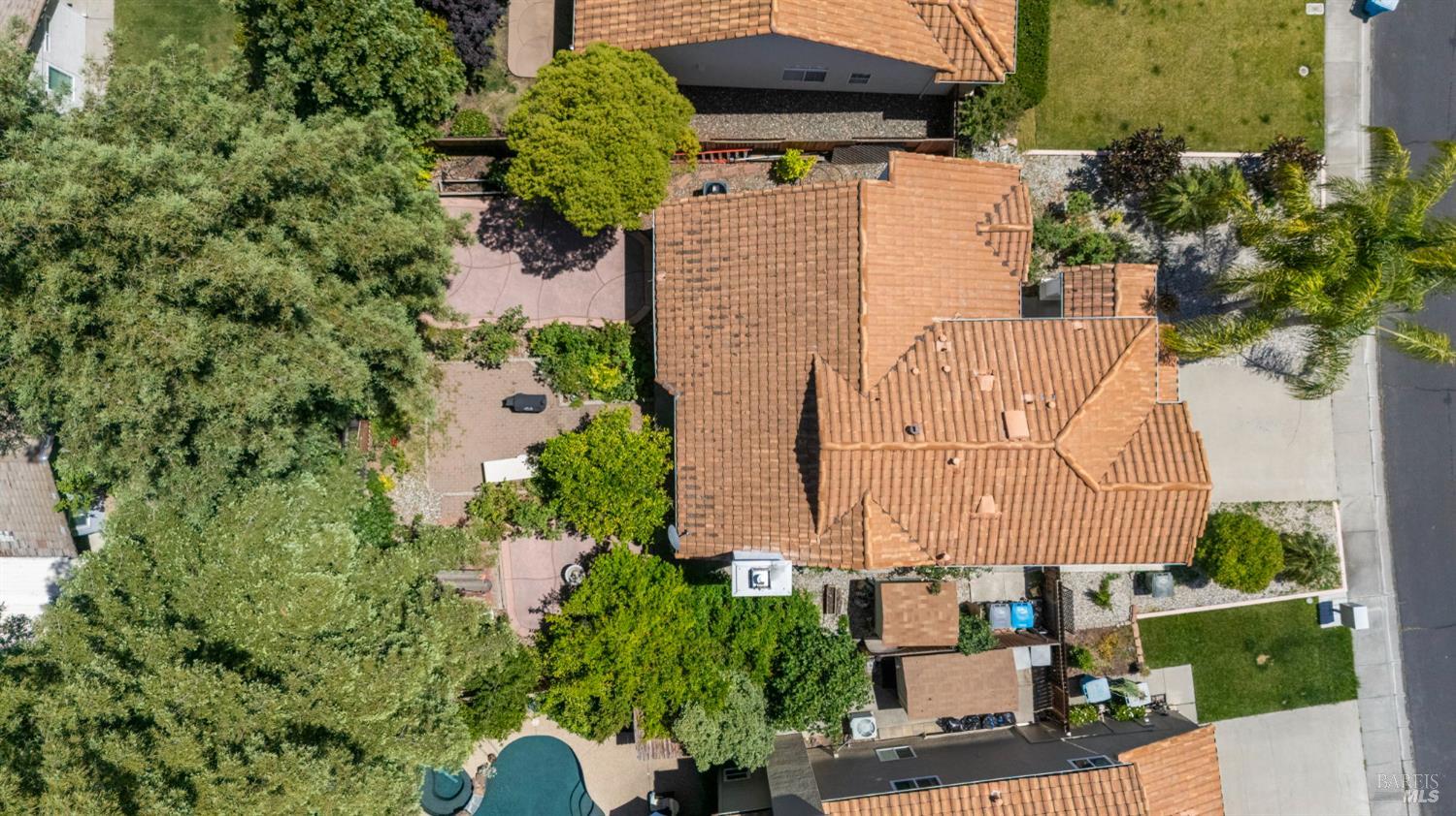 561096606_e74b205d-0fca-441b-af08-76a693c40257.jpg