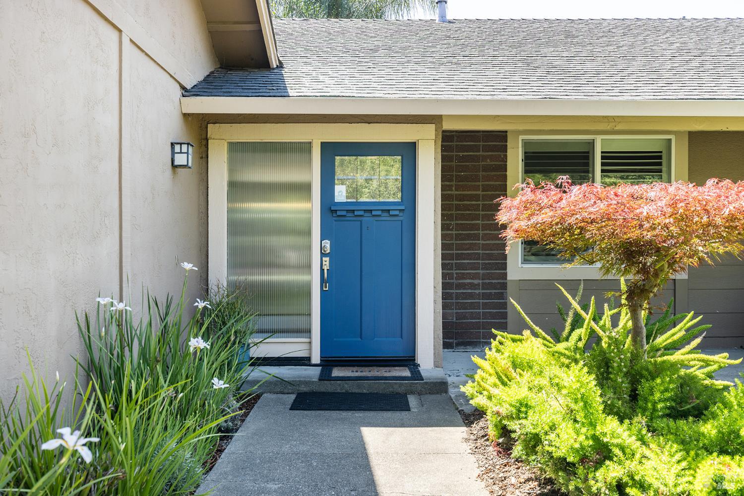 2491 Vine Hill Drive photo 3