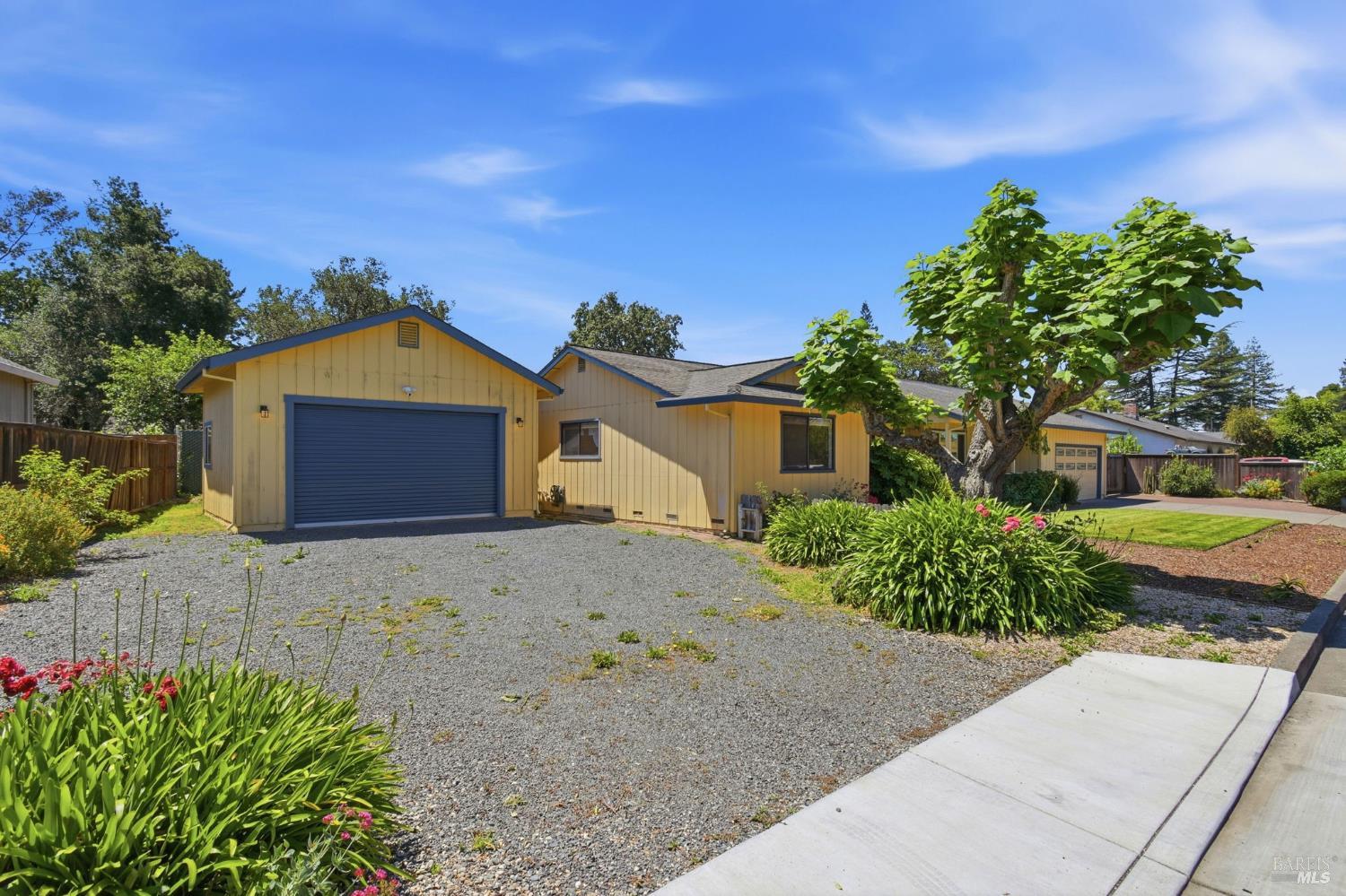 561100515_c5ad896f-ac75-4034-ae4f-074682447aed.jpg