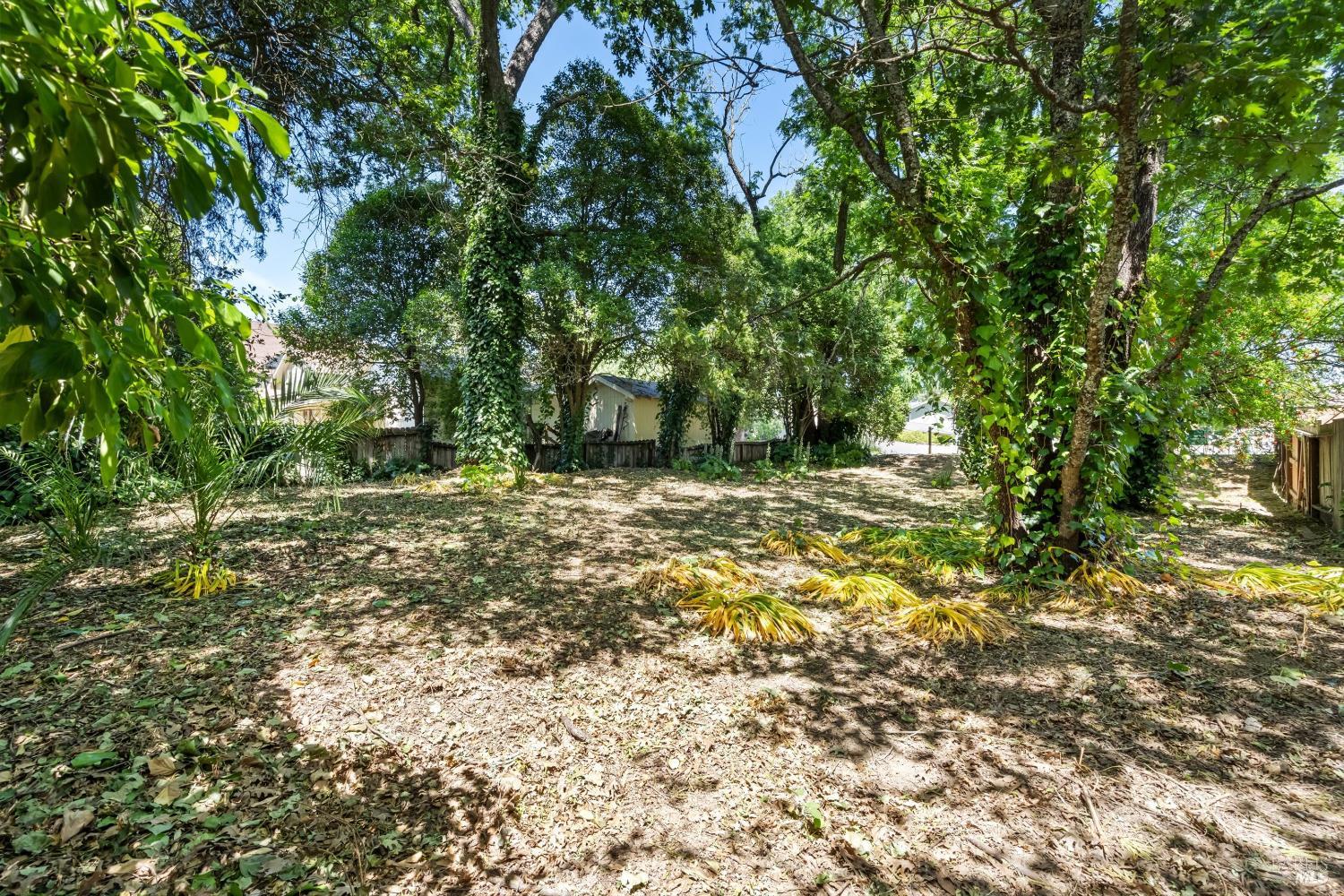 413 Fitch Street photo 3