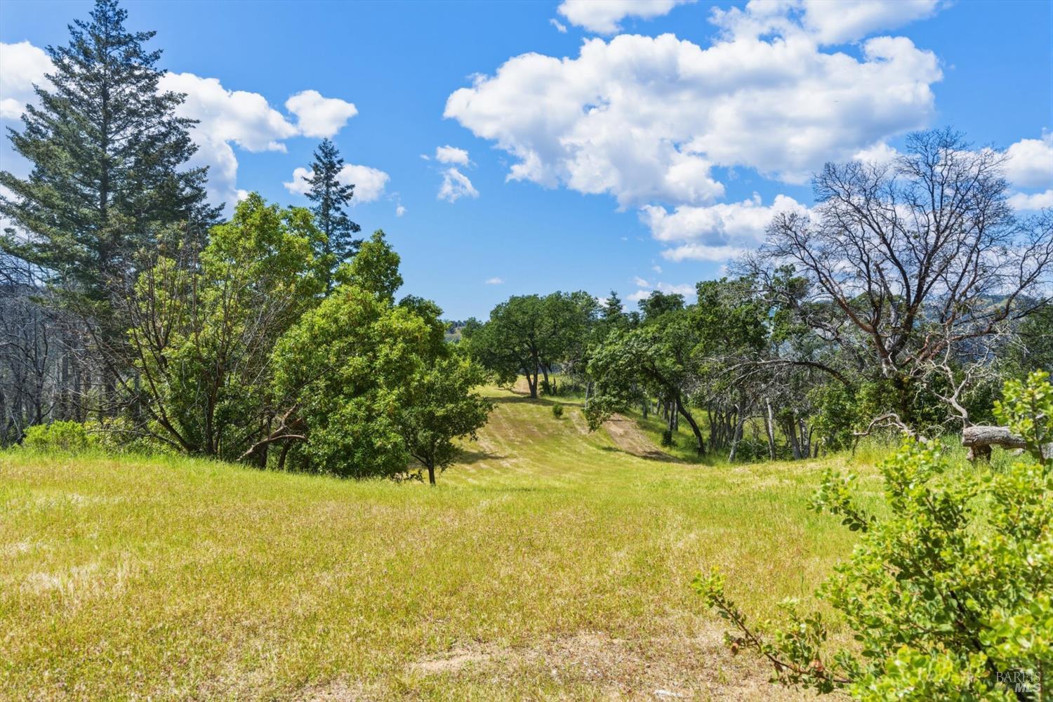 3444 Chicken Ridge Road photo 2