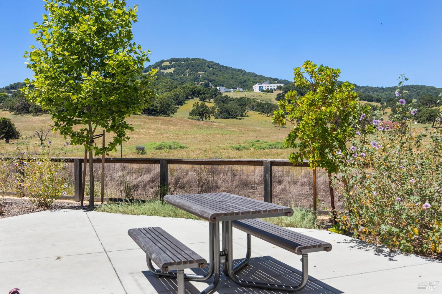 557 Valley Oaks Circle