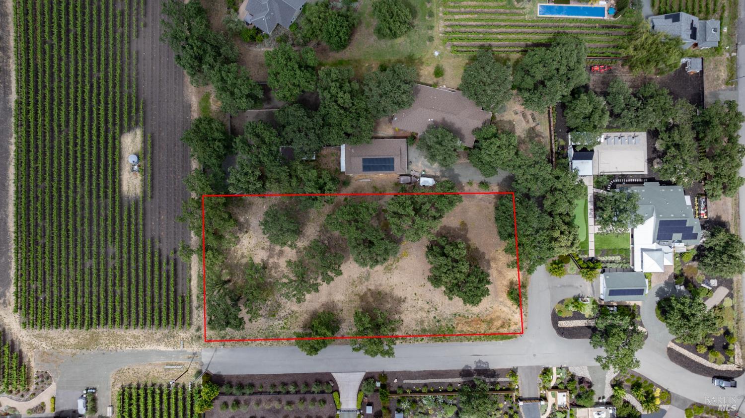 3004 W Money Lane W photo 2