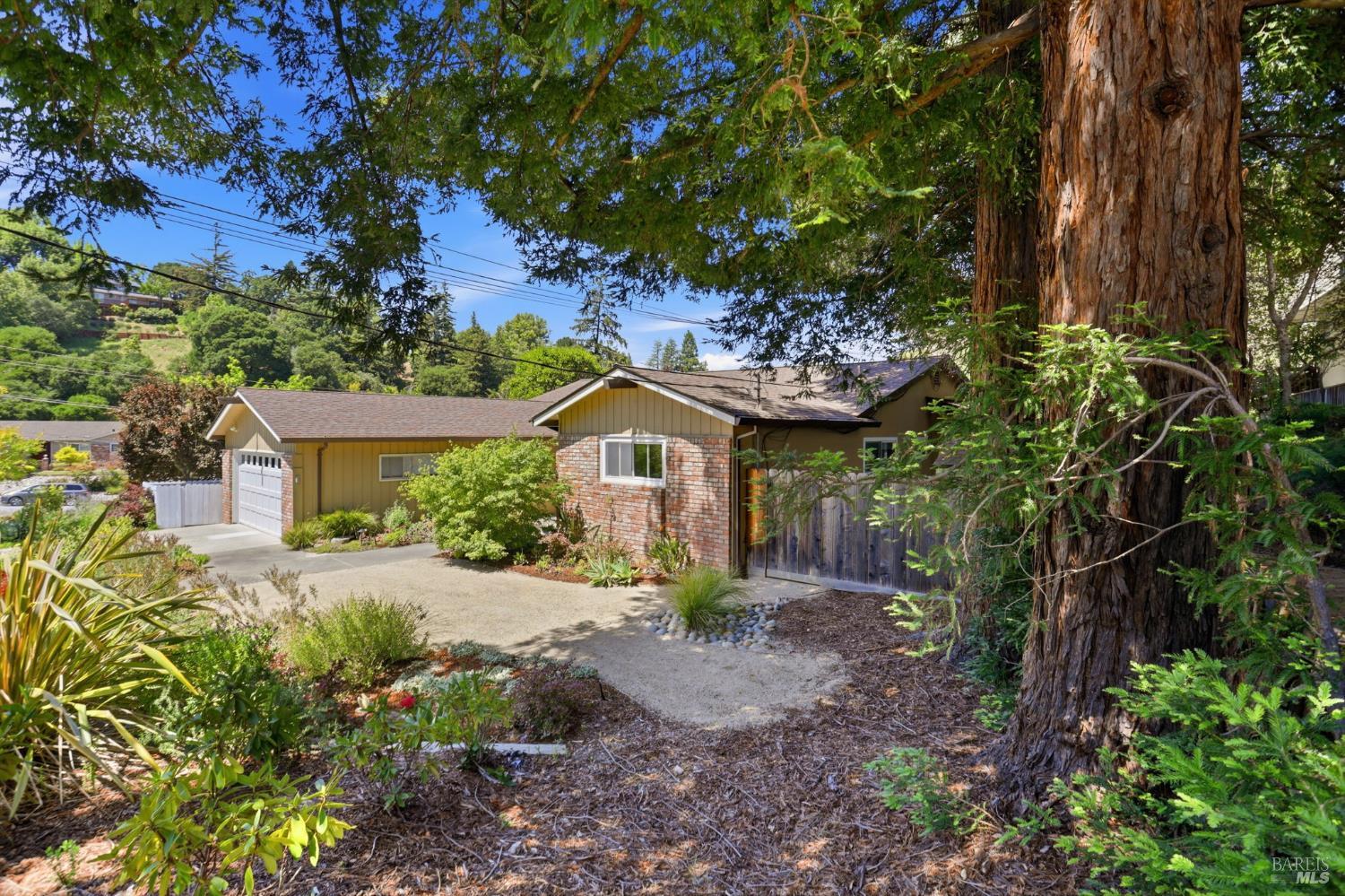 3 Tilden Drive photo 3
