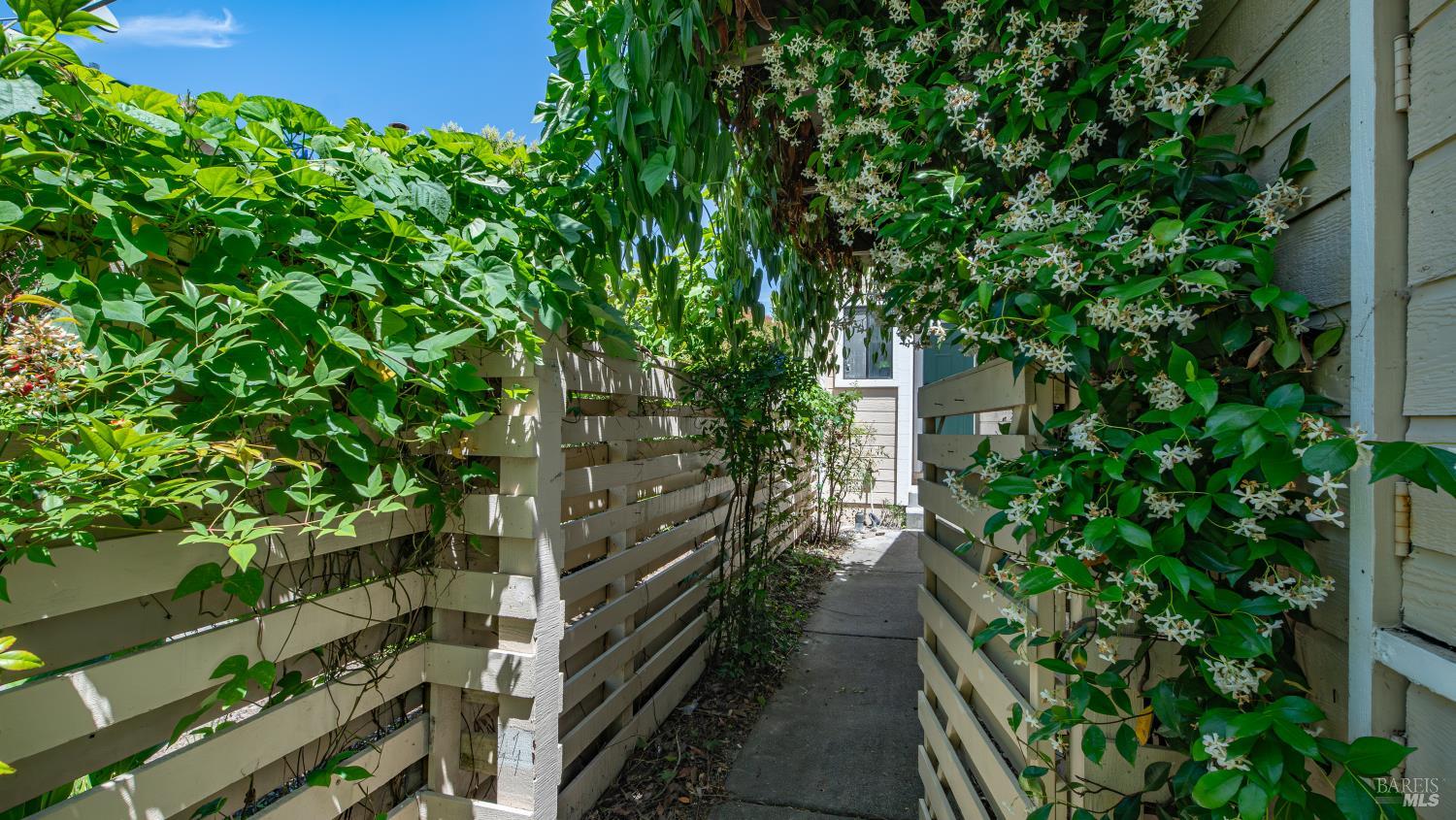 1560 Grenache Way photo 3