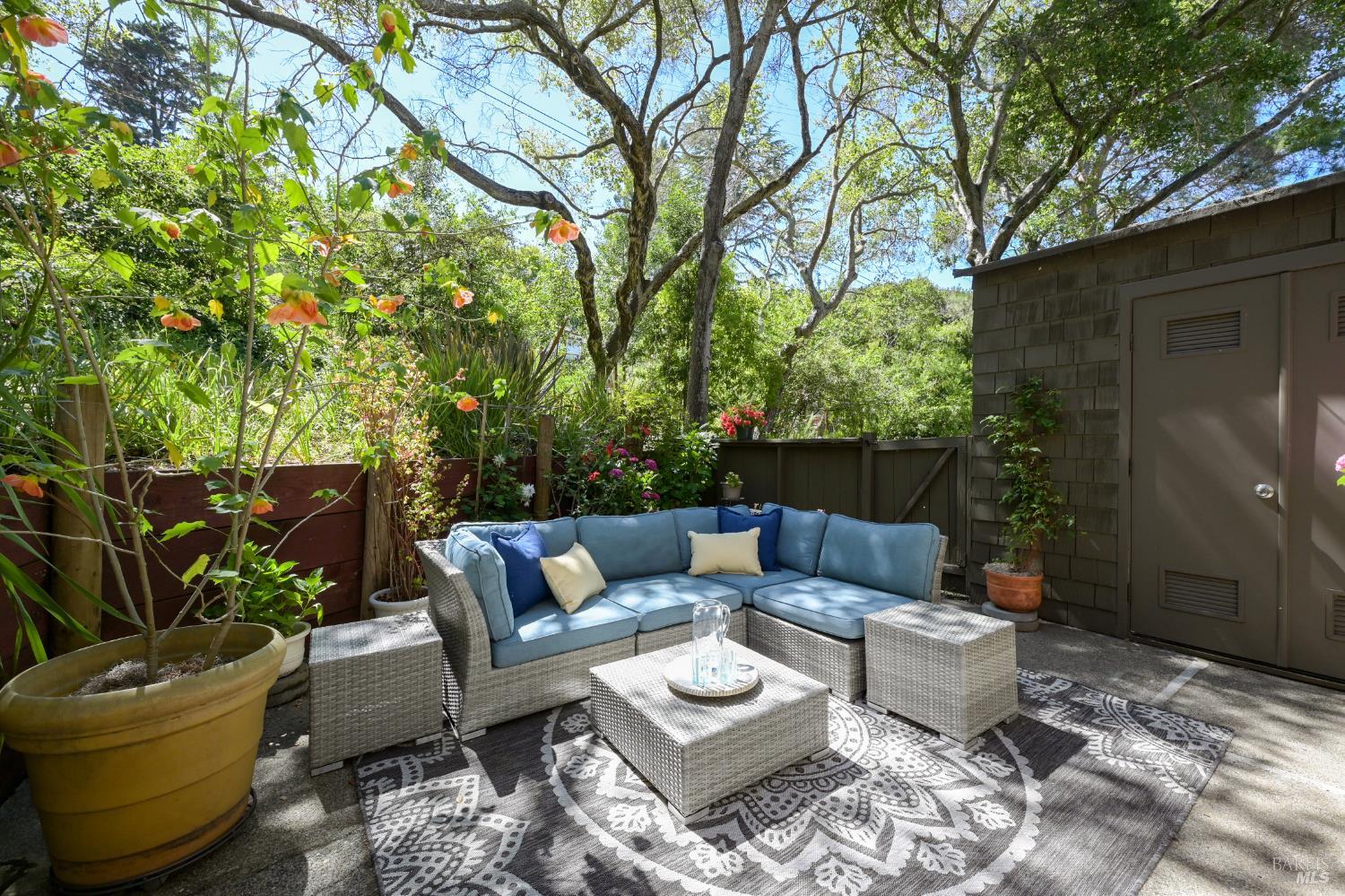 1411 Casa Buena Drive Unit: #36