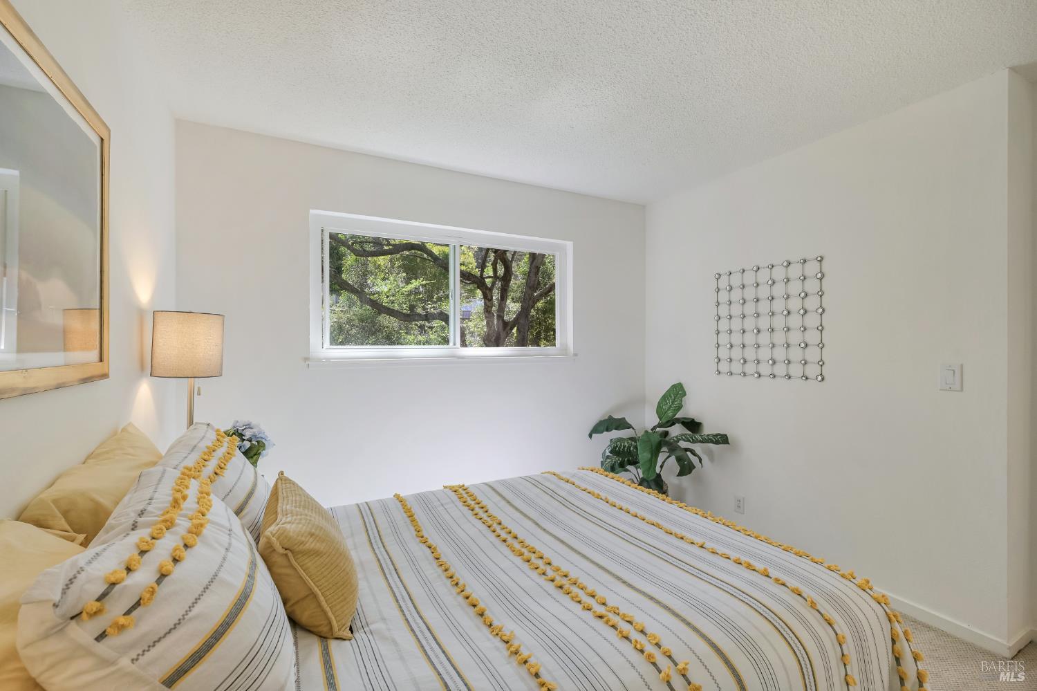 1411 Casa Buena Drive Unit: #36