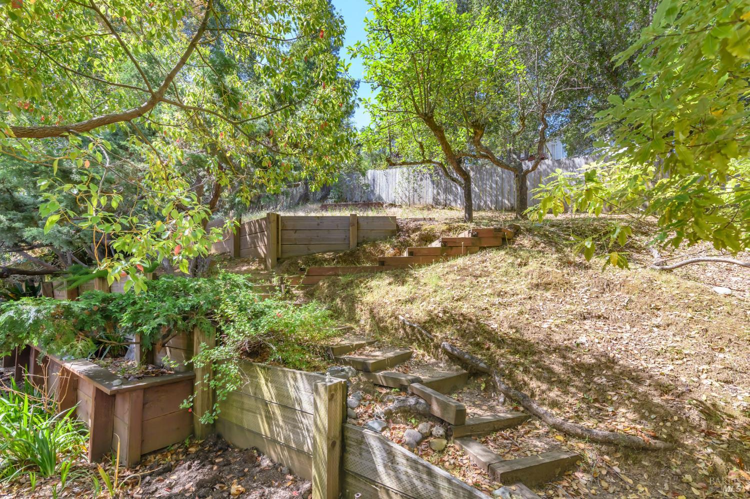 25 Maple Avenue