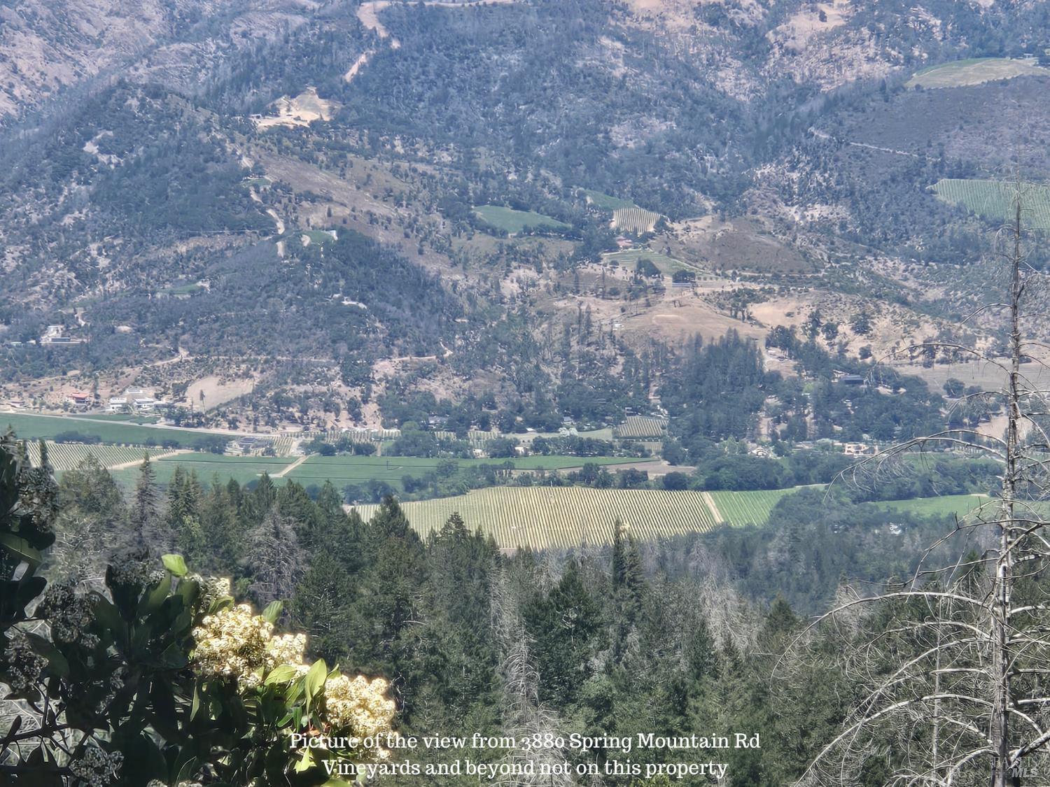 3880 Spring Mountain Road photo 2
