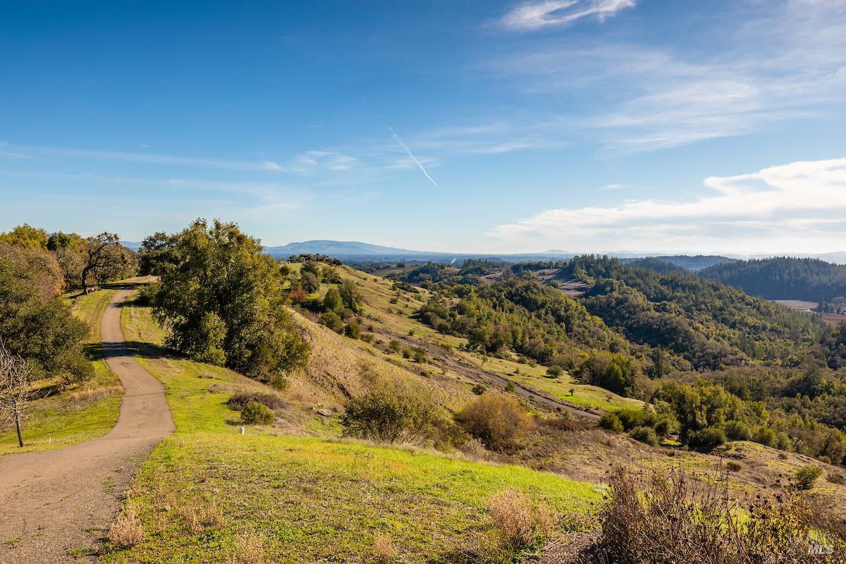 2365 Sweetwater Springs Road photo 3