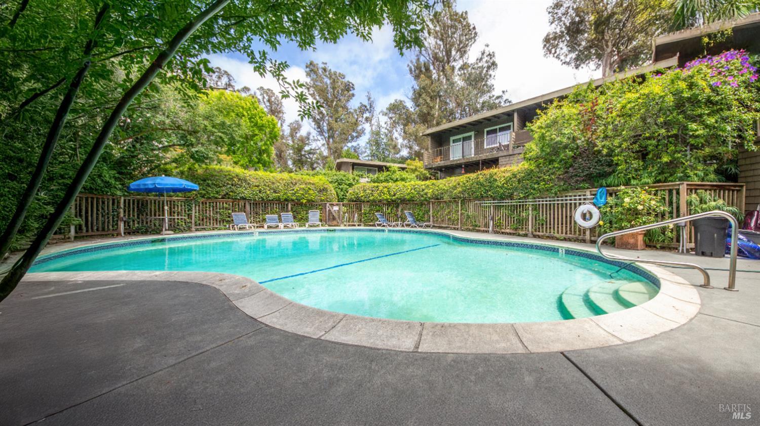 1411 Casa Buena Drive #46 photo 3