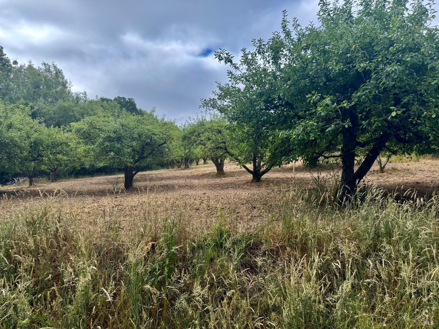 237 Gold Ridge Road