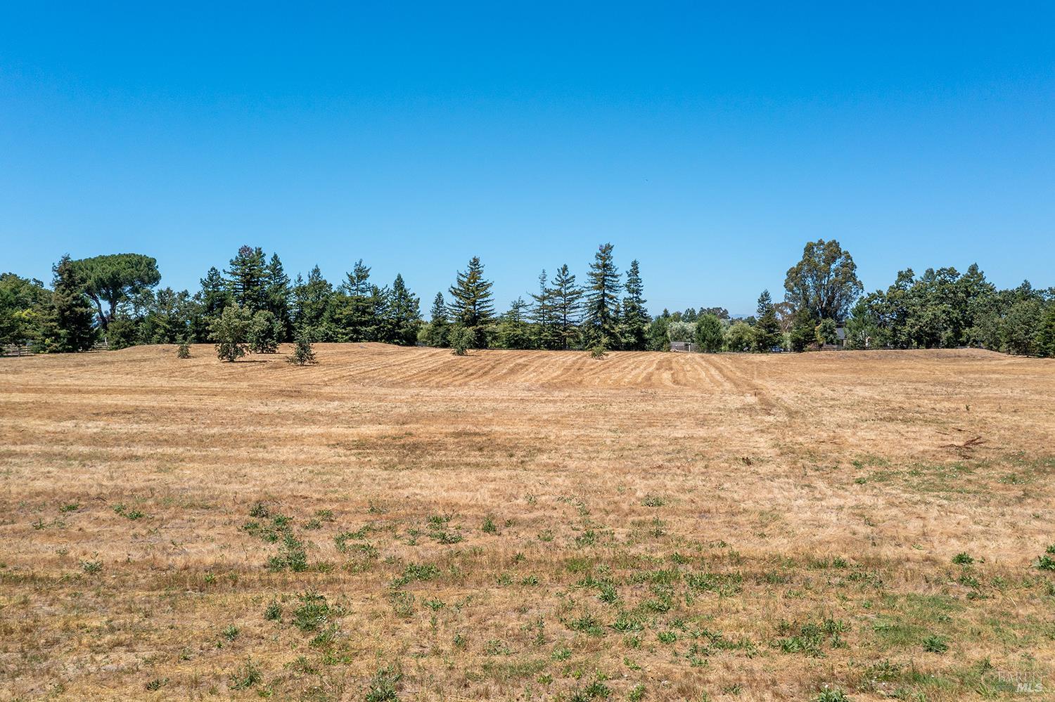 5390 Hall Road photo 3