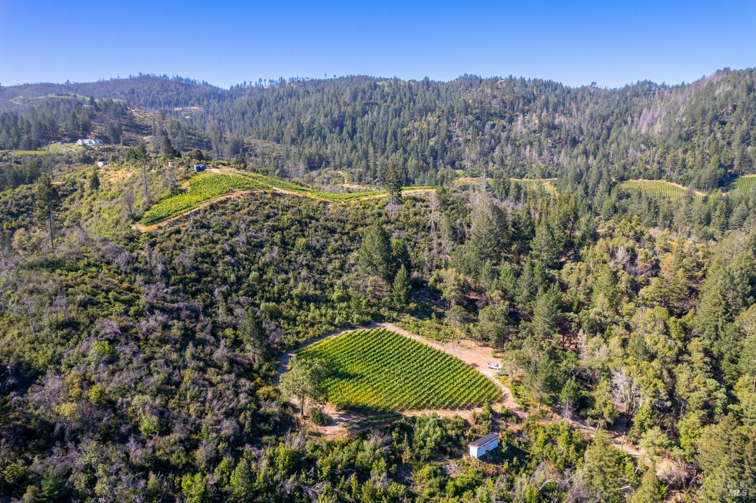 0 Diamond Mountain Road photo 3