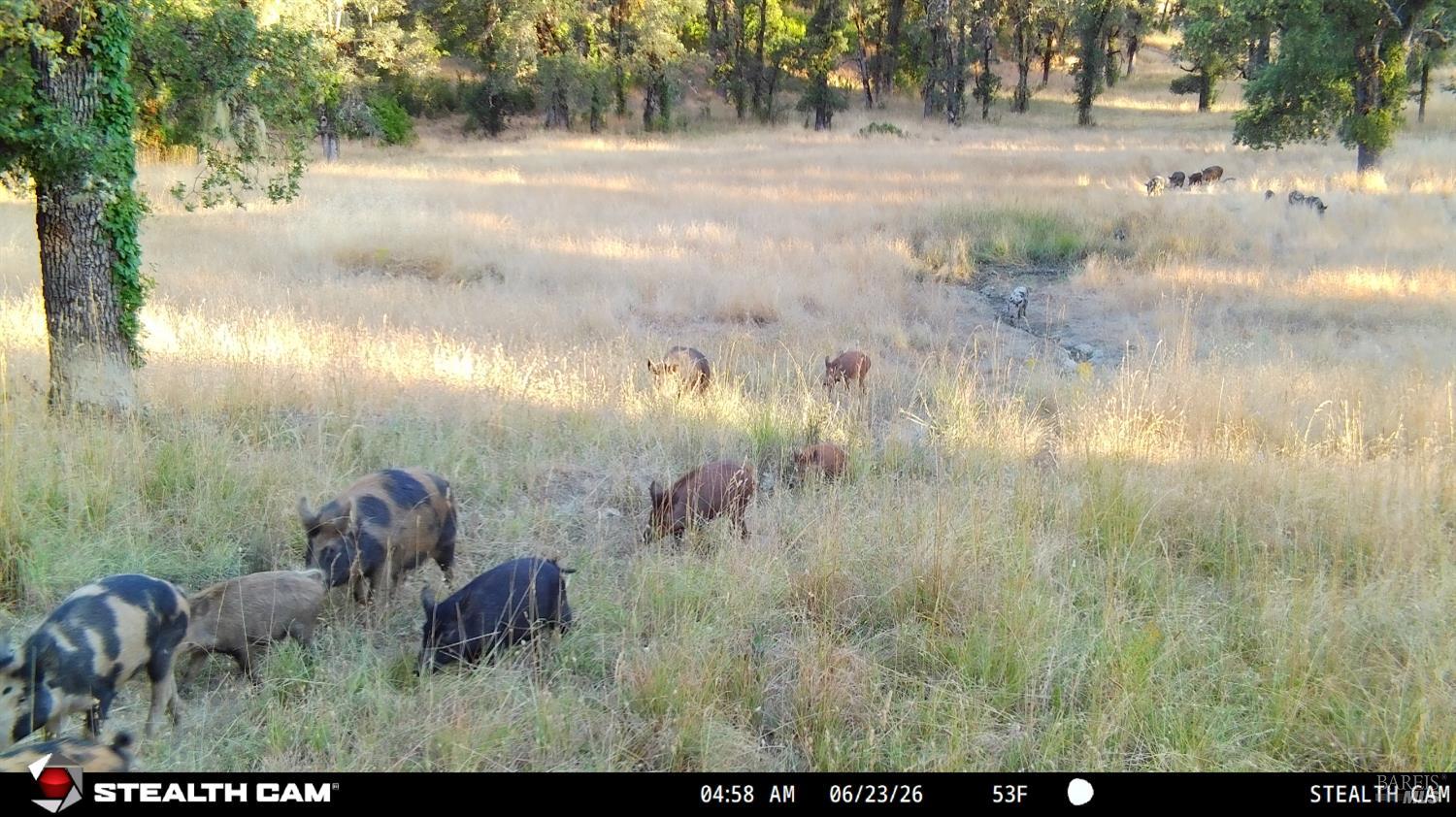 Photo 67