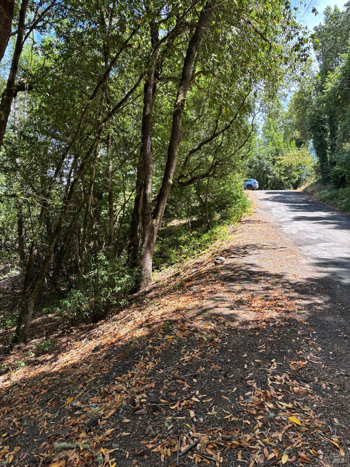 9868 Hillside Drive photo 2