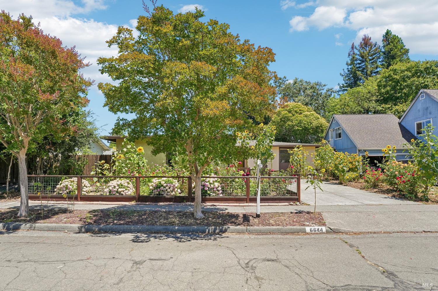 6644 Greenmeadow Drive photo 3