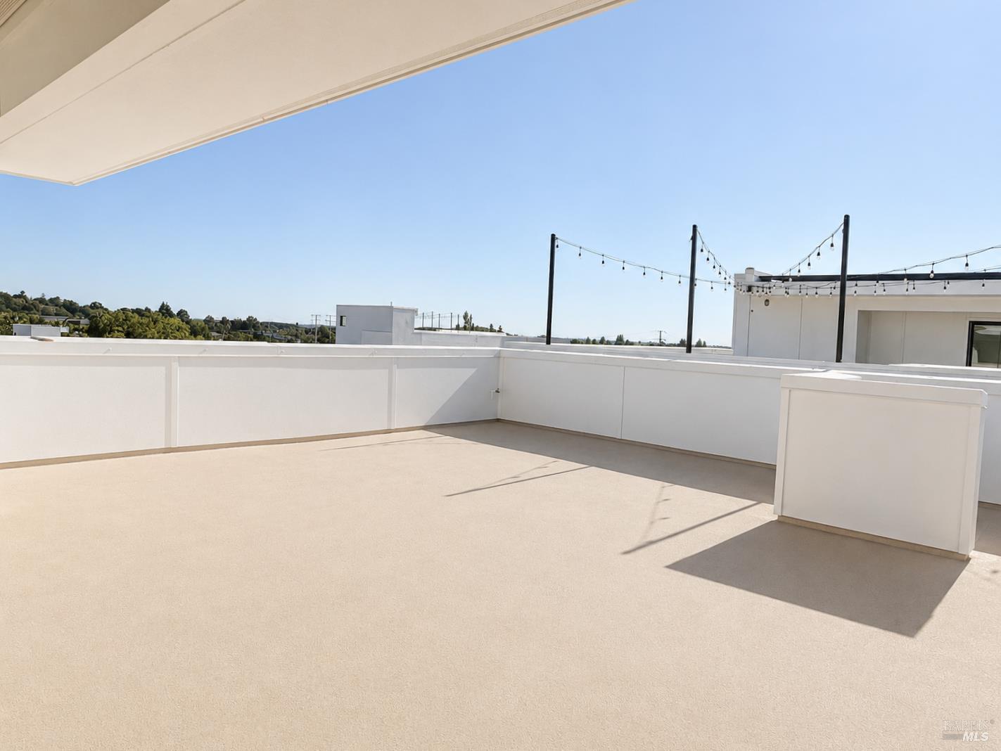 561048120_3f90f6d9-0b3d-4e7f-99da-2babeea4e0bc.jpg