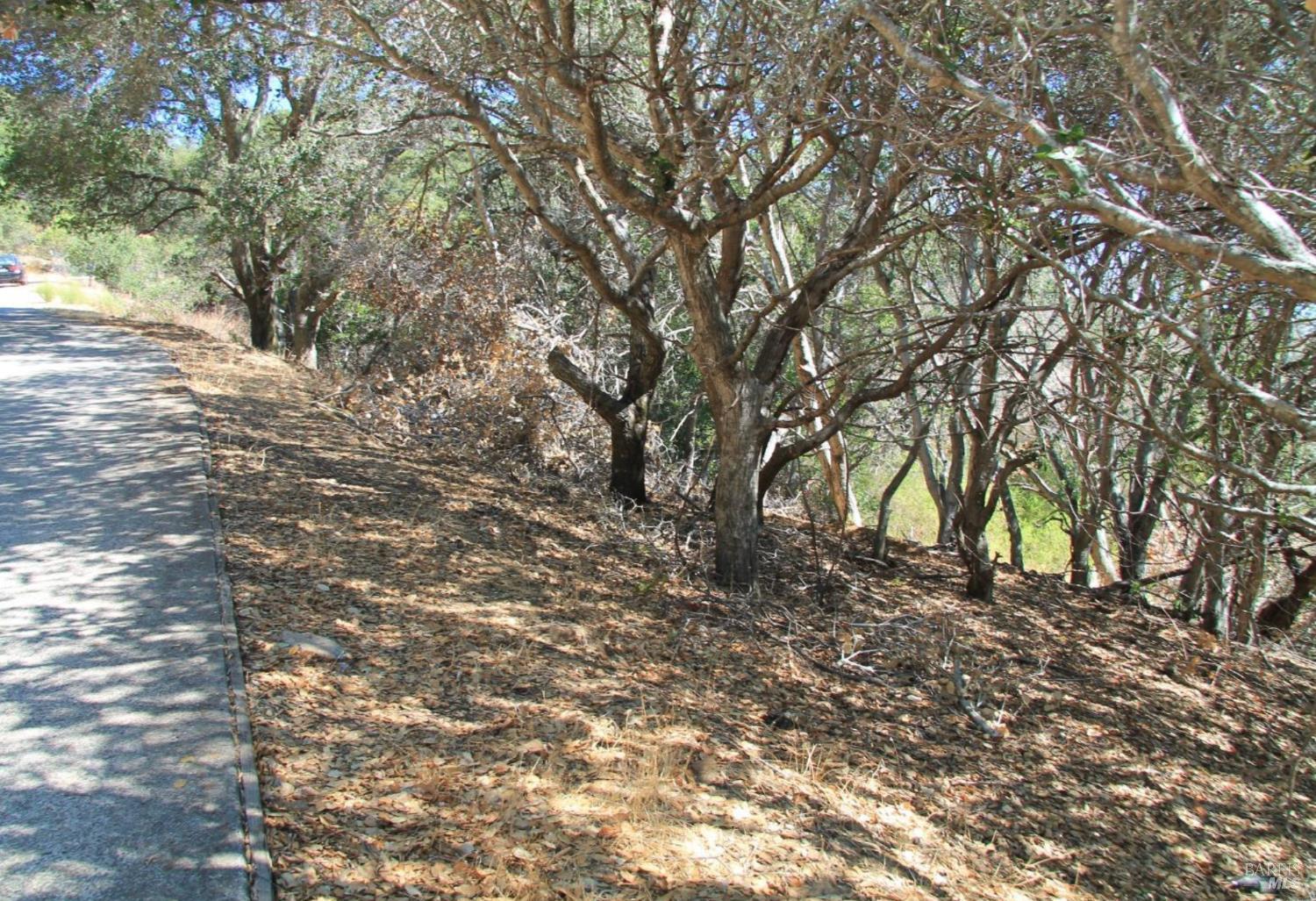 208 Pacheco Avenue photo 2