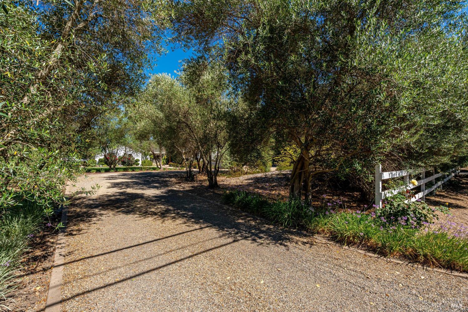 1054 Olive Hill Lane photo 2
