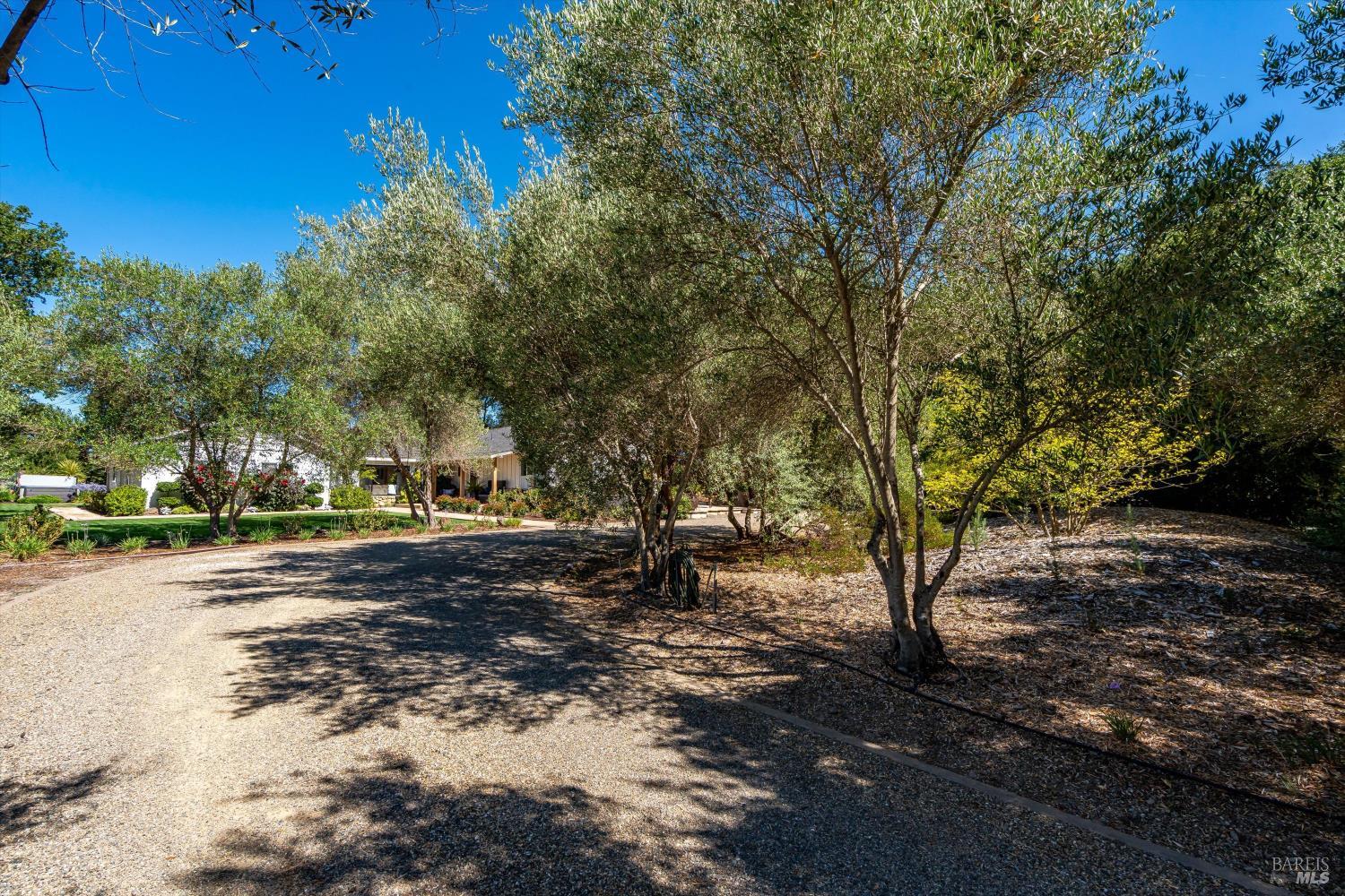 1054 Olive Hill Lane photo 3