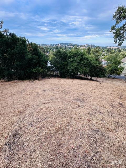 650 Tamalpais Avenue photo 3