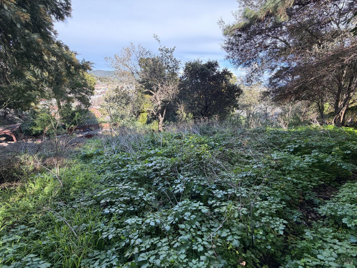 59 Clayton Street photo 3
