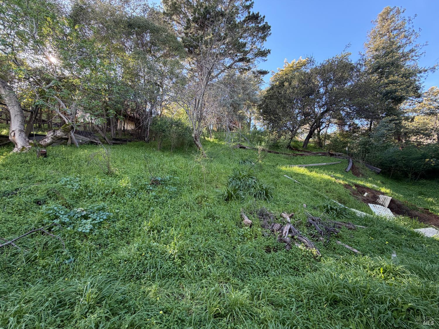 59 Clayton Street photo 2