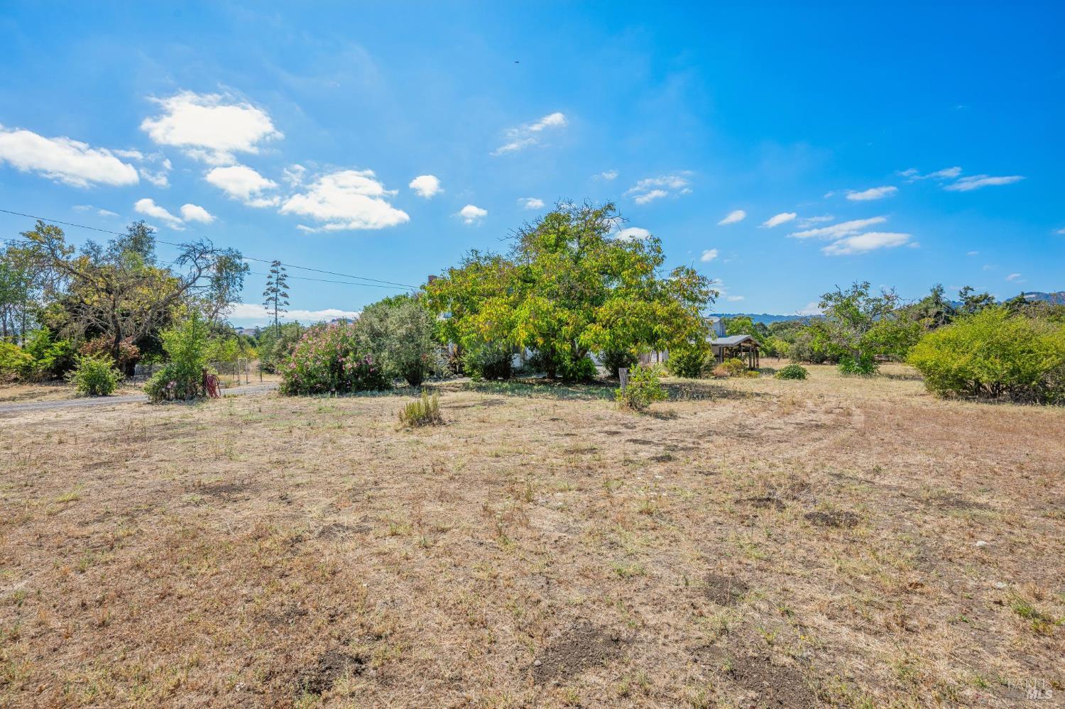 19390 Orange Avenue photo 2
