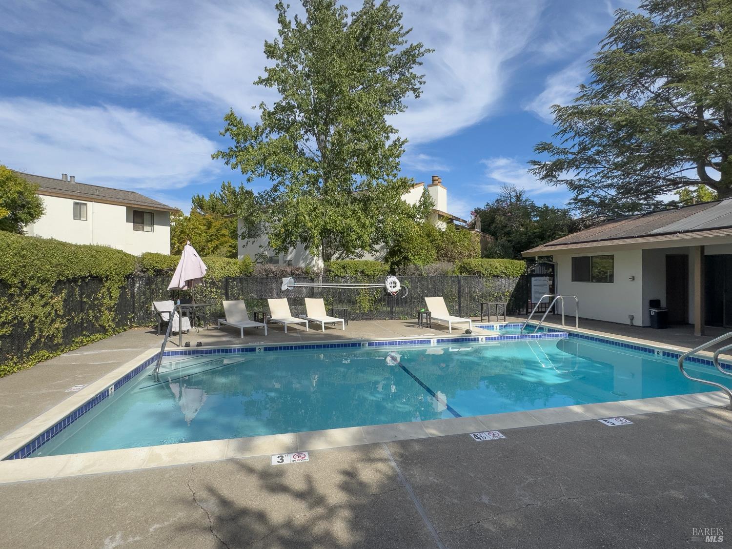 225 2nd Street E #7 photo 3
