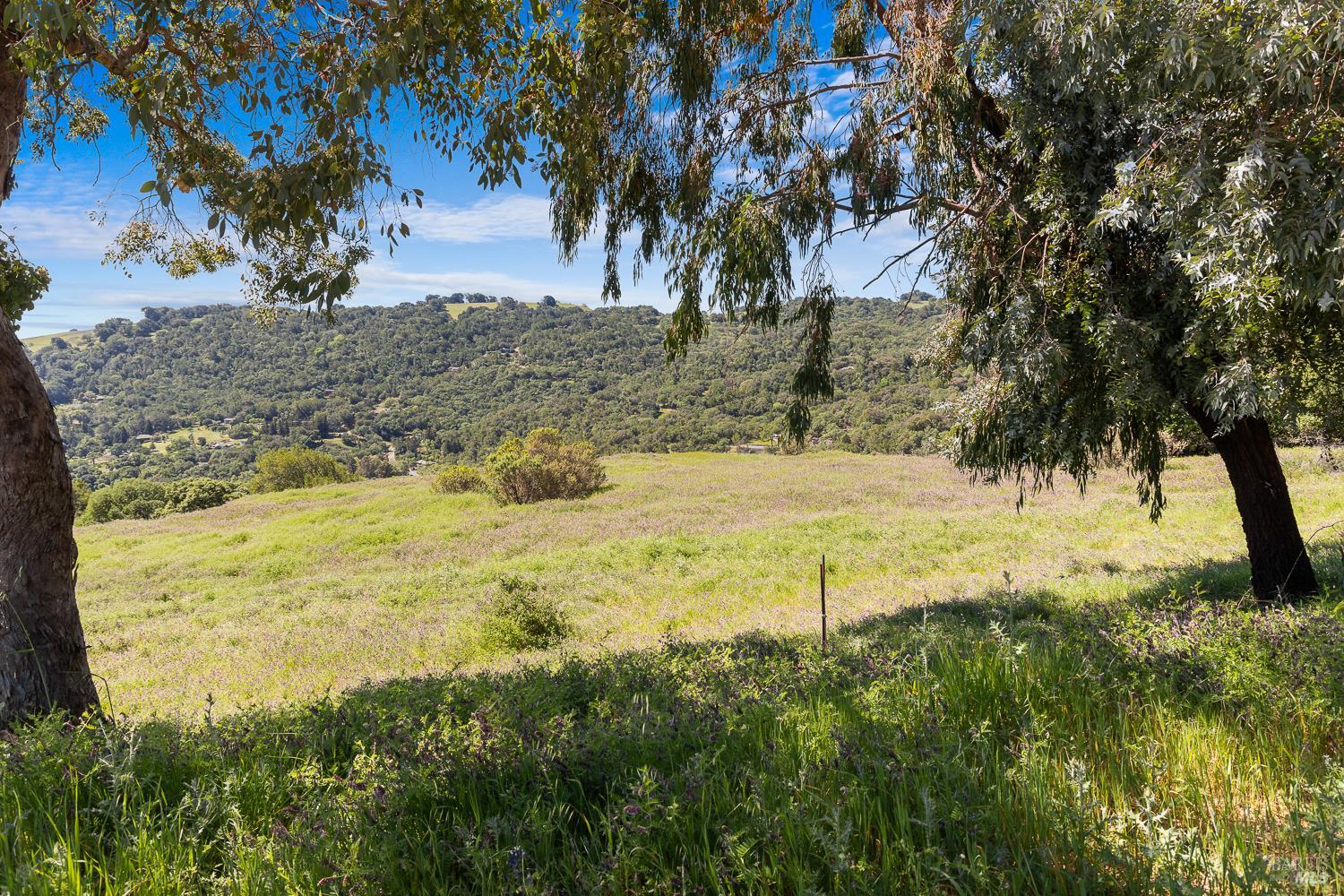 7251 Grove Court photo 3