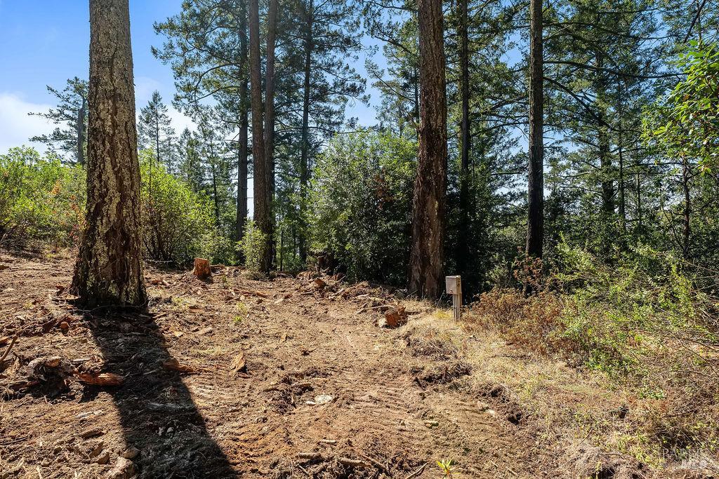 3360 Calistoga Road photo 3