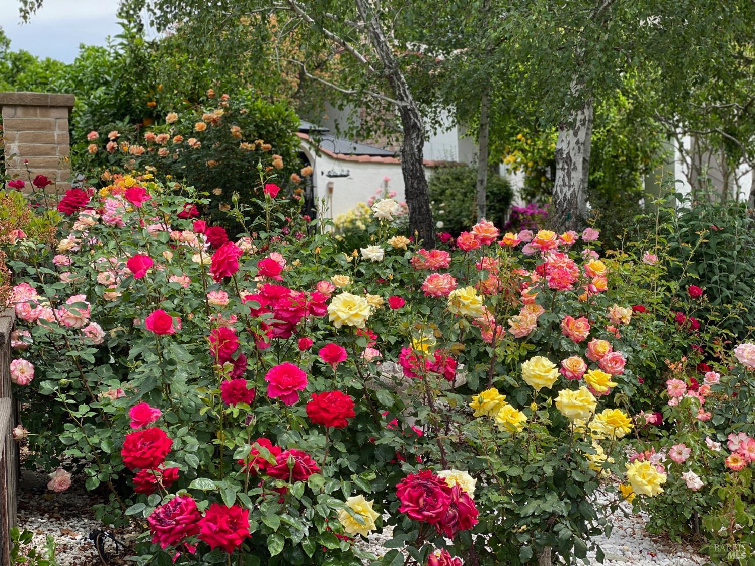 Photo 43