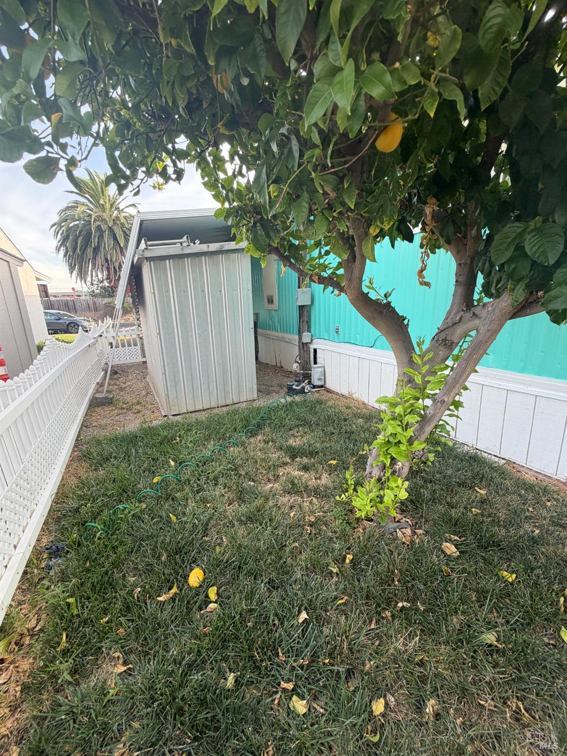 Photo 25