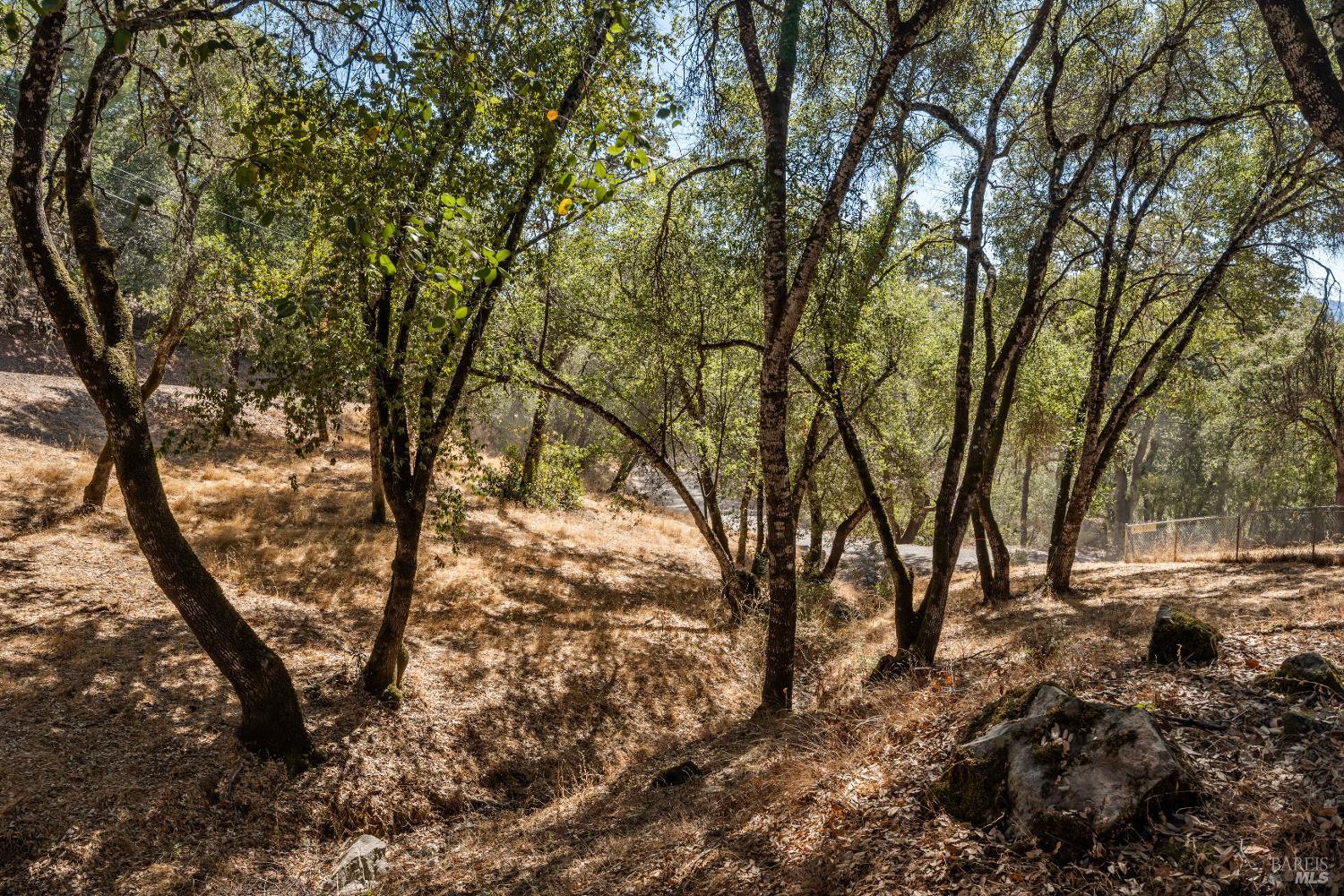 Photo 35