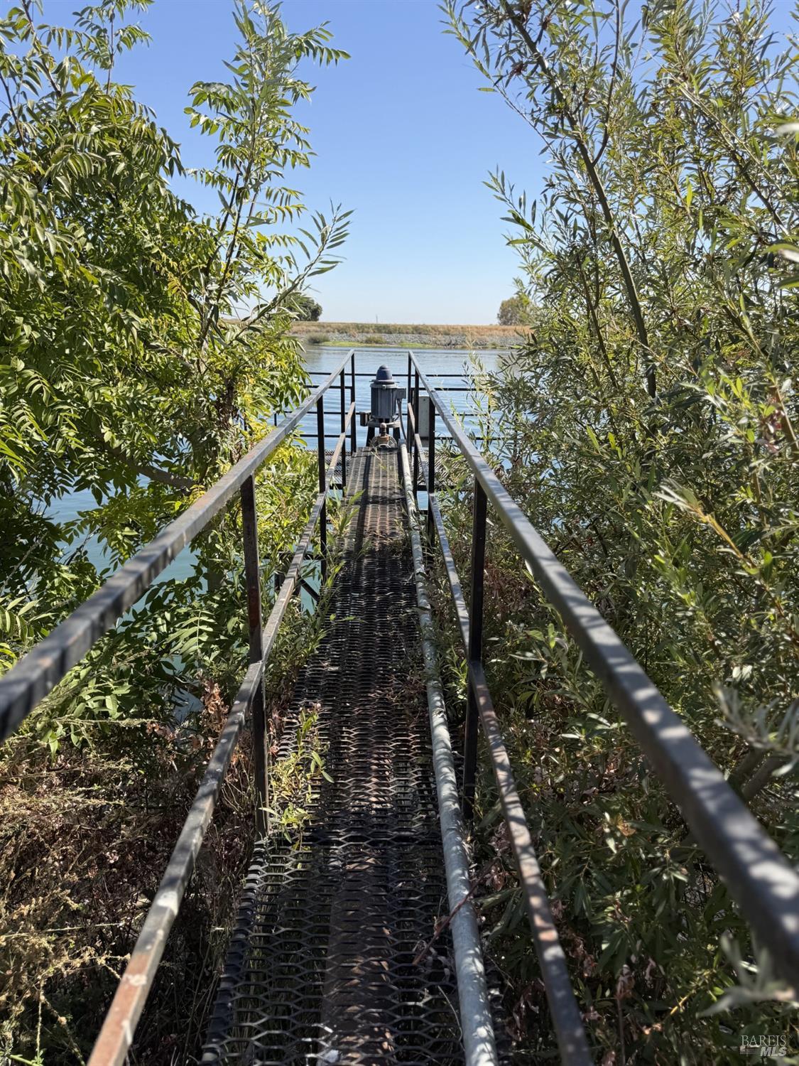 561226027_809d6094-aa26-4b62-9367-34f6960c1de8.jpg