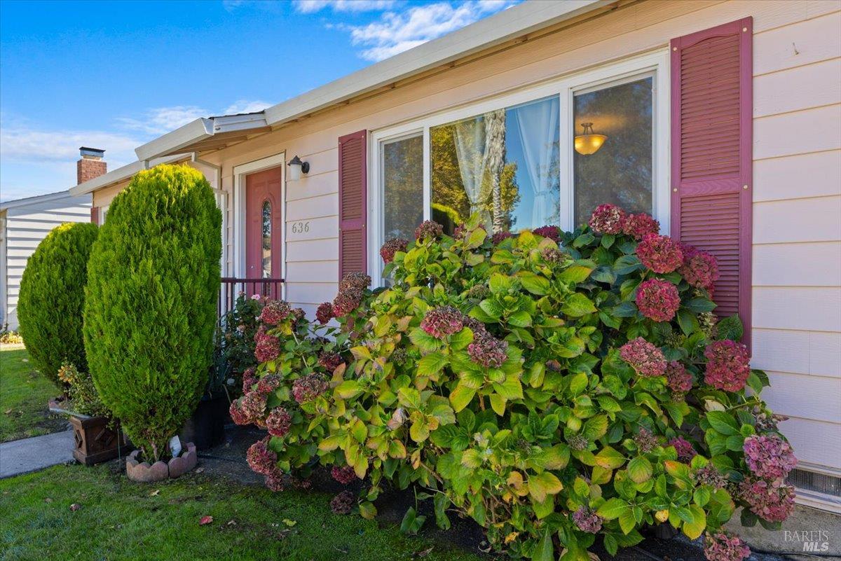 Property photo 5
