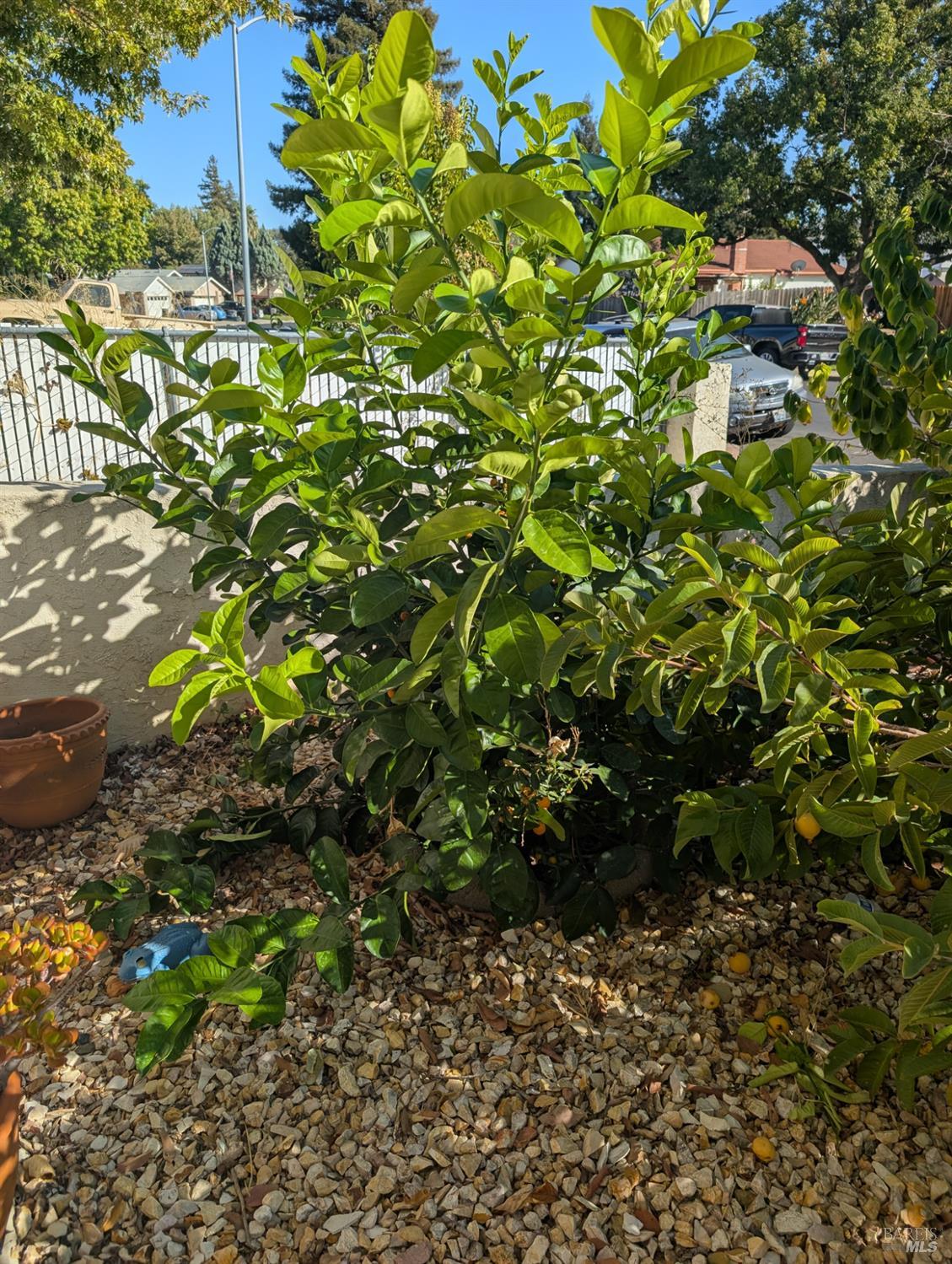 Photo 37