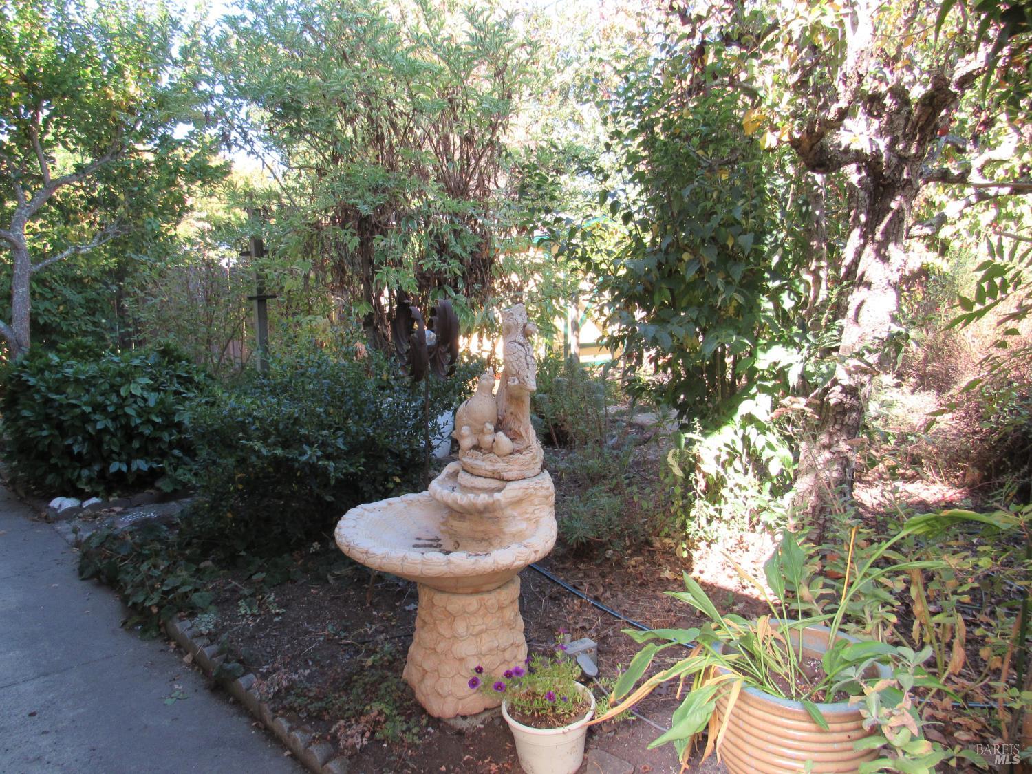 Photo 28