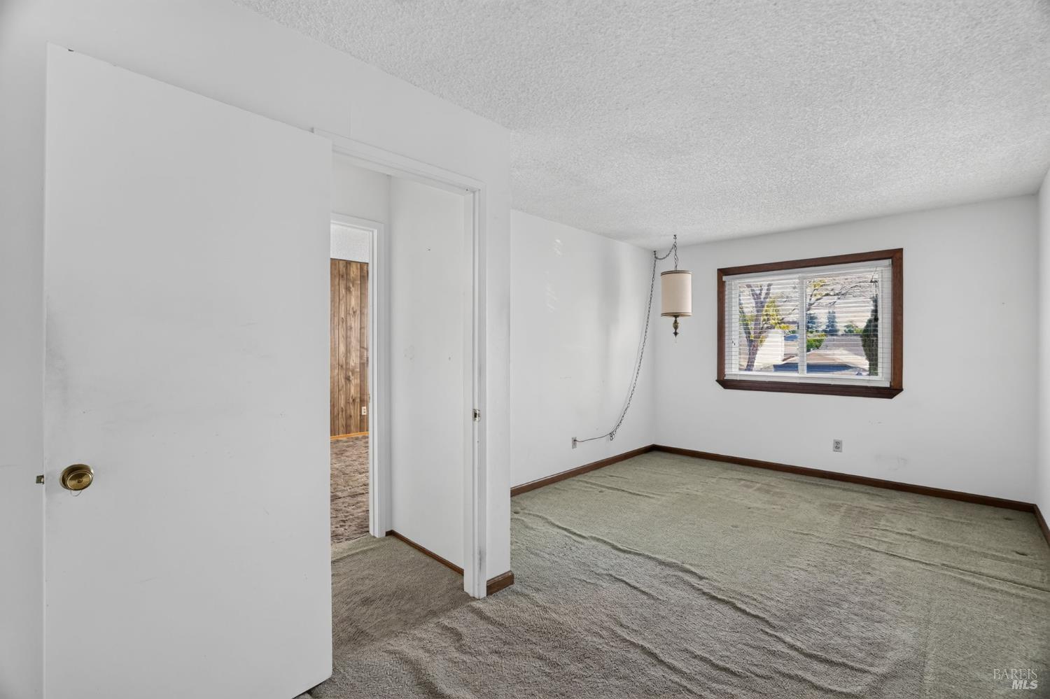 561242948_c6c38cad-5c44-41eb-af11-a566a3aa8254.jpg